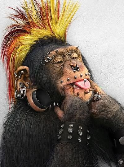monkey punk,monkey punk
