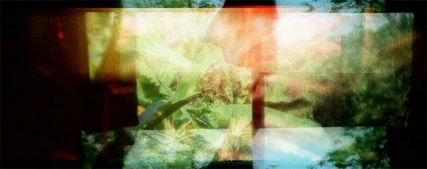 ashes
