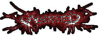 213_logo.gif image by LABRADIO