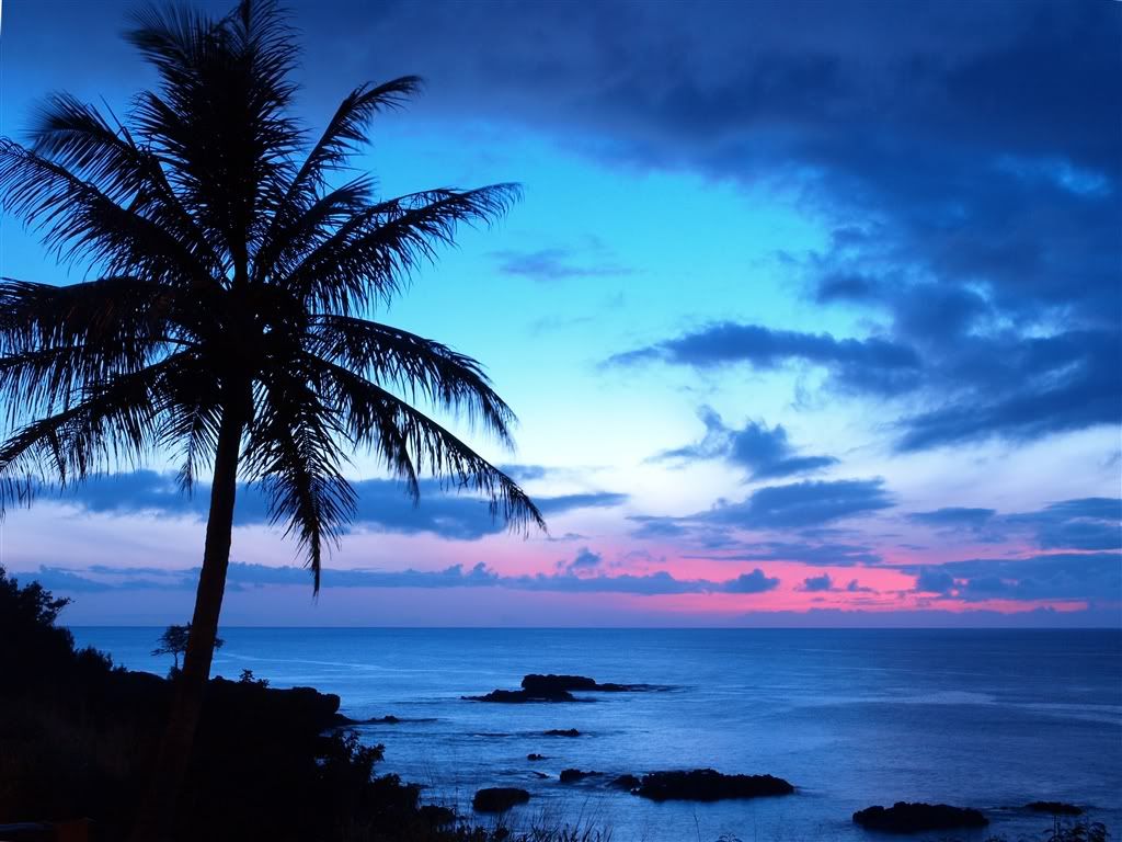 tropical photo: tropical sunset-palm.jpg
