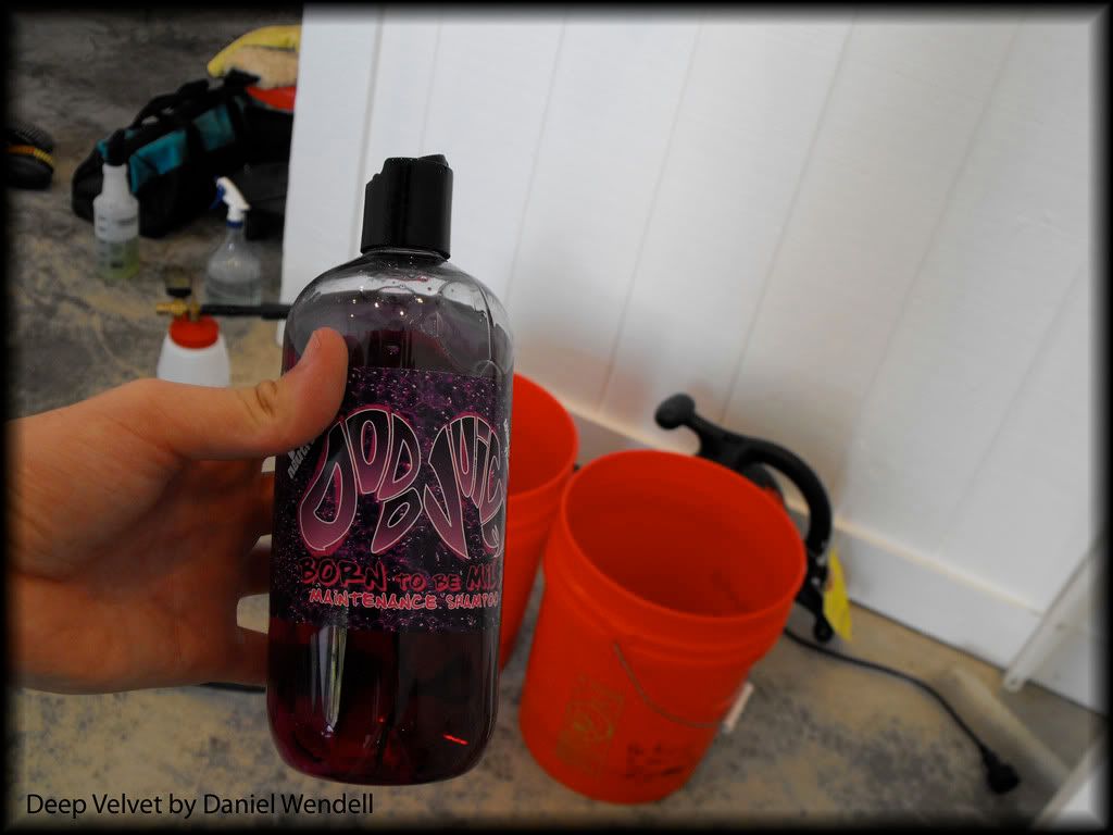 DSCF0203_2.jpg
