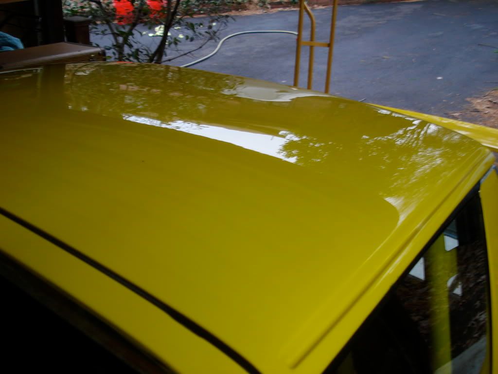 DSC02062.jpg