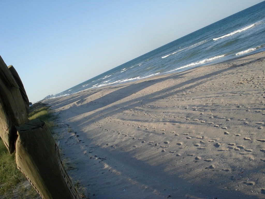 DSC02212.jpg