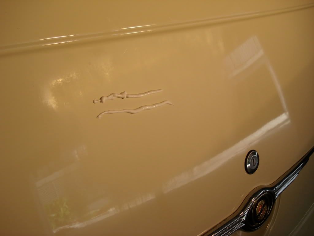 DSC02237.jpg