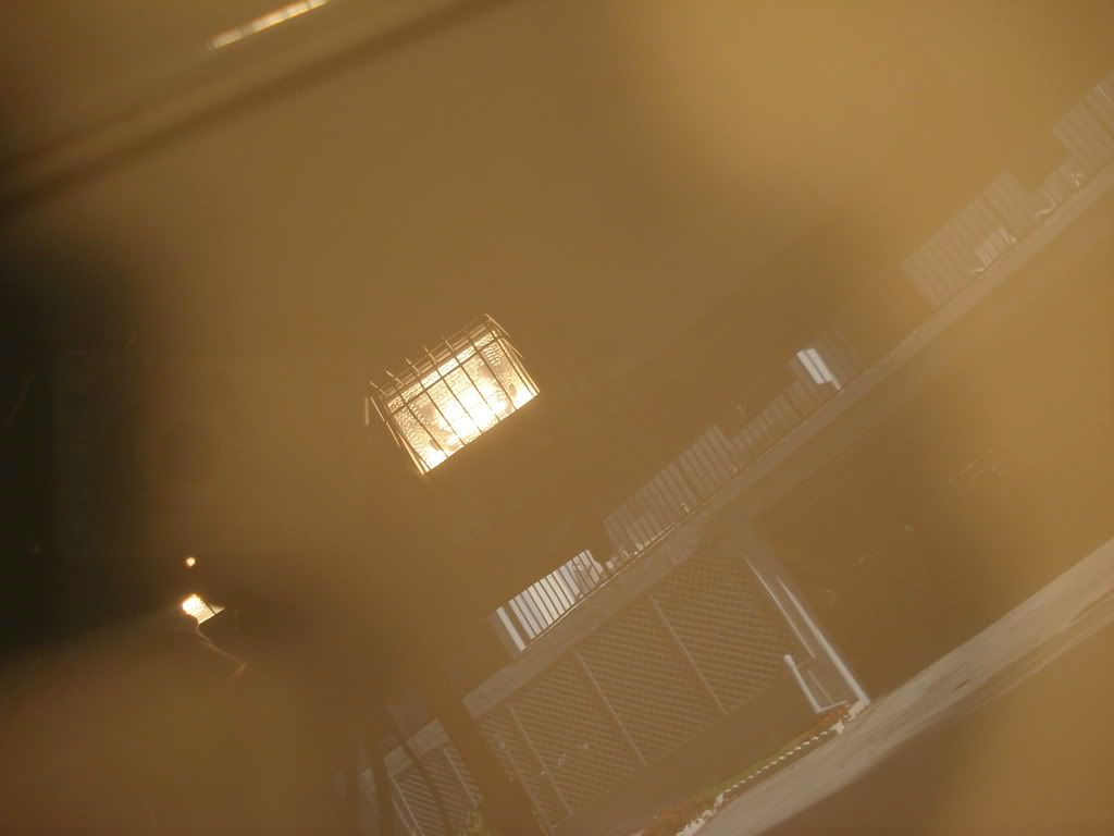 DSC02260.jpg