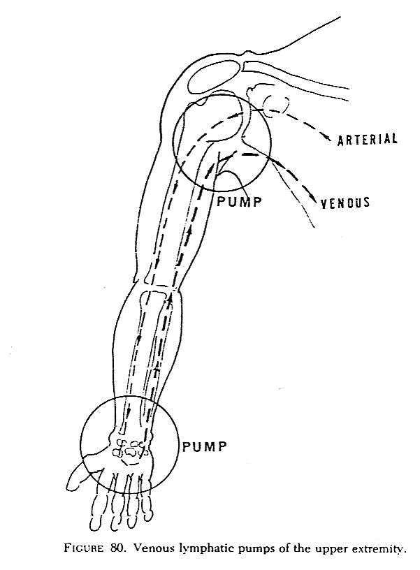 ALL ABOUT REHAB PAIN OTHERS Low Level Laser For Shoulder Pain after 