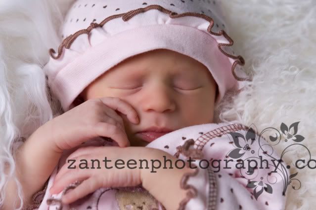 ZanteenPhoto