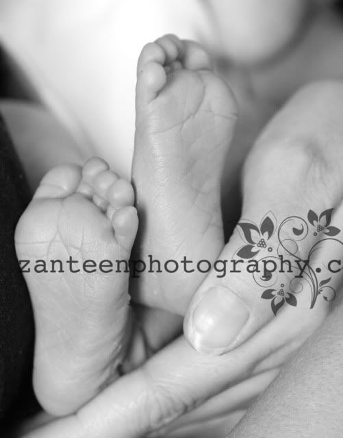 ZanteenPhoto