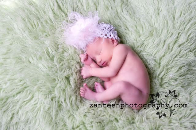 zanteenphotography