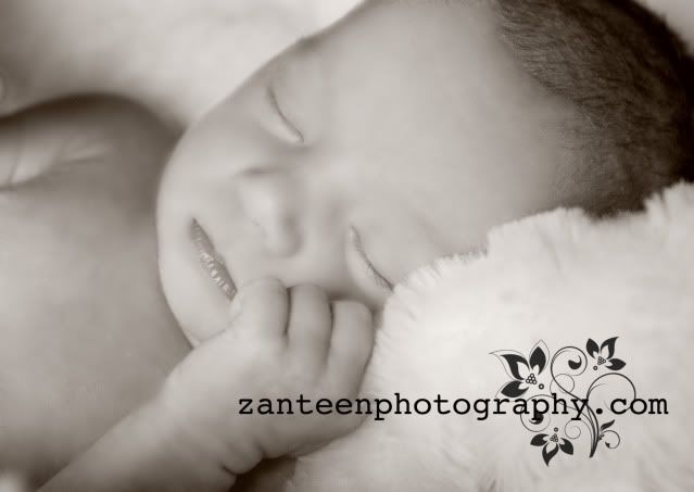 zanteenphotography
