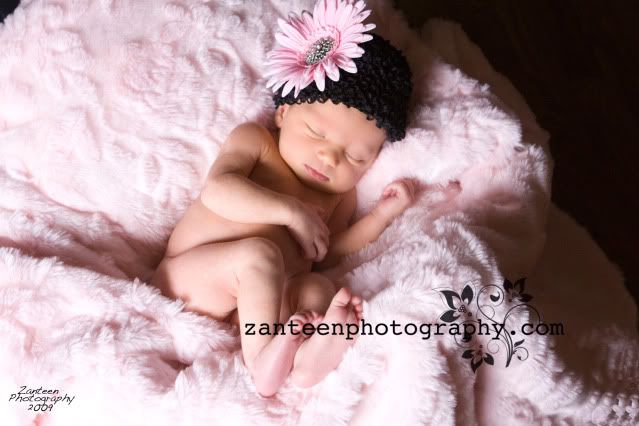 zanteenphotography
