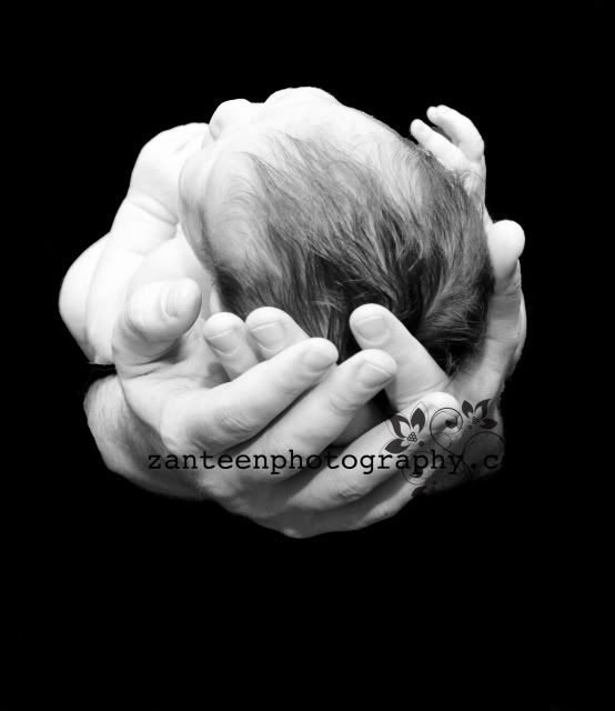 zanteenphotography.com