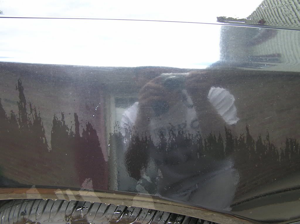 Detailing001.jpg