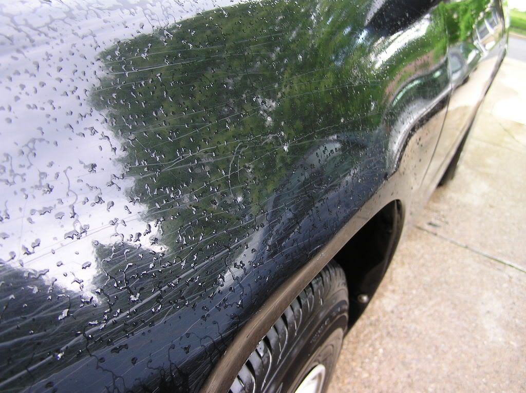 Detailing009.jpg