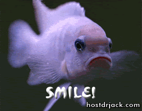 smilefish.gif