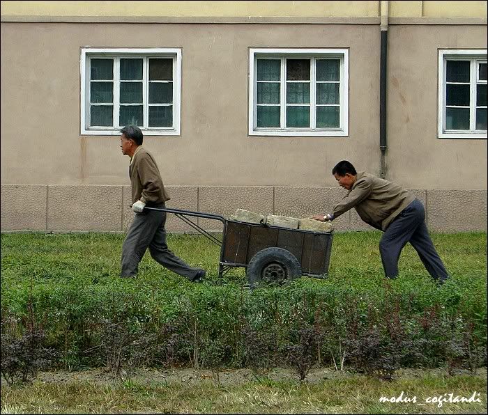 пхеньян - лица в тумане, 1 Photobucket