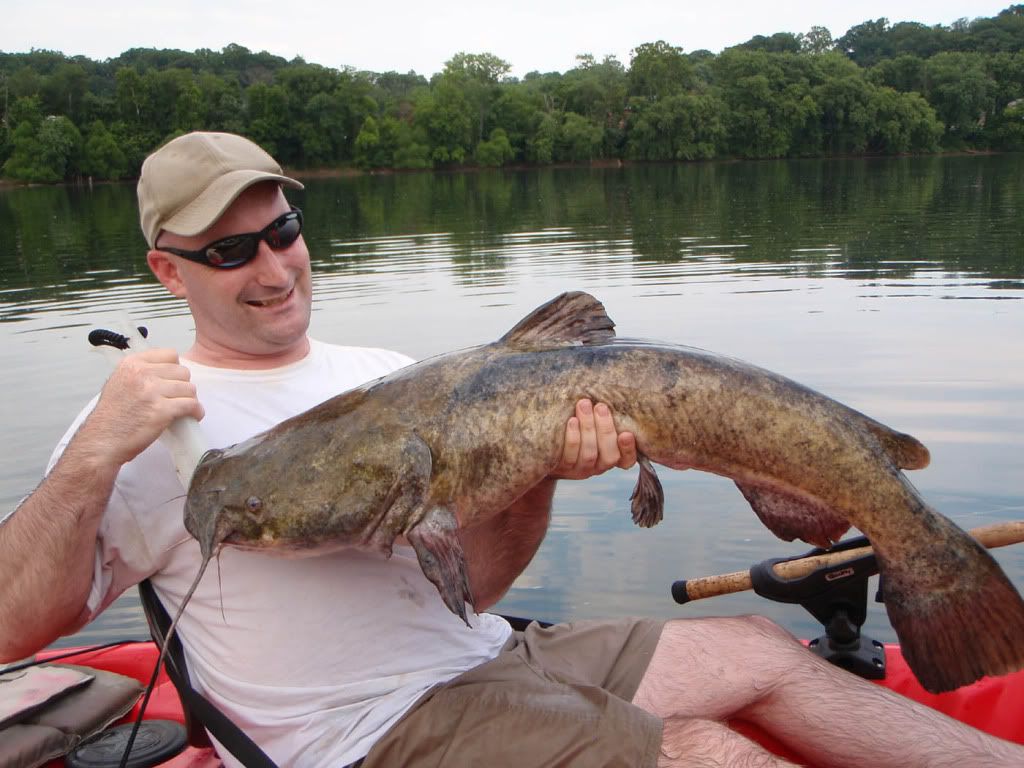 James River, VA Catfish Other Fish Species Bass Fishing Forums