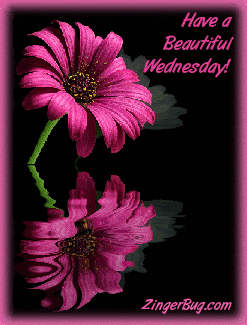 wensday photo: wensday beautiful_wednesday_reflecting_pink.gif