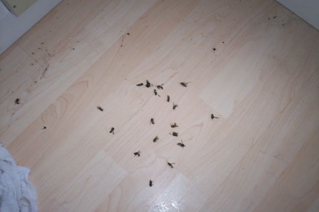 100_1388.jpg