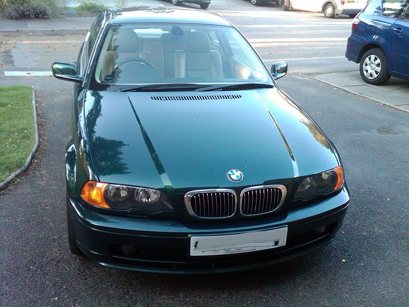 IMG00036-20101011-1713.jpg