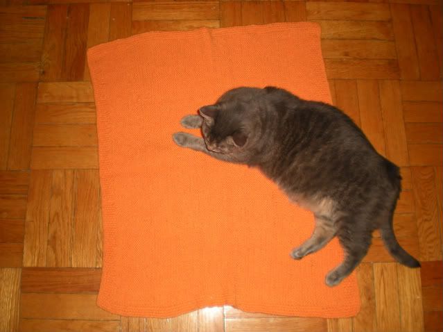 Blanket (+cat)