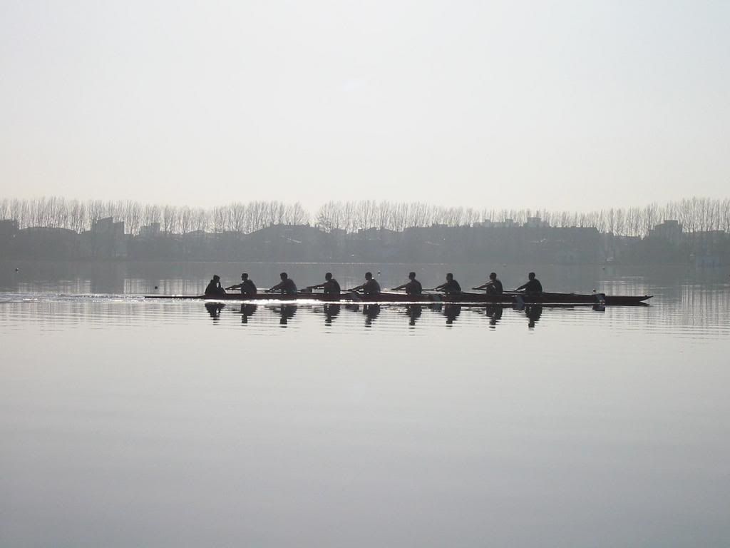 Rowing Graphics
