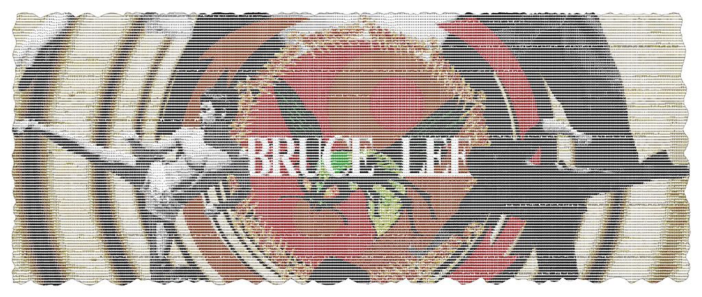 Bruce Lee ascii text art typography font