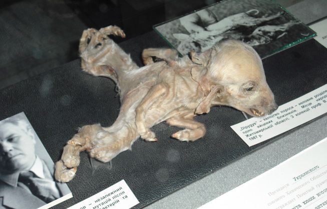  photo Chernobyl_zps260bbd04.jpg