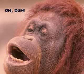duh.jpg