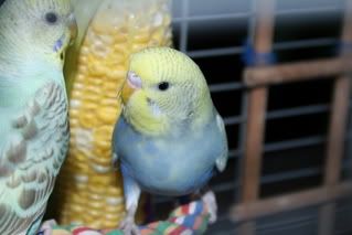 IMG_0633.jpg