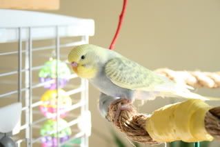IMG_0671.jpg
