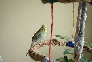 IMG_0885.jpg