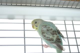 IMG_0947.jpg