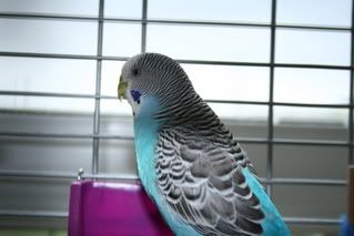 IMG_0960.jpg