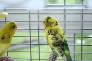 IMG_1584.jpg