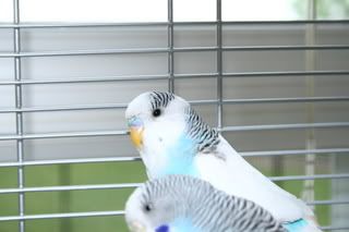 IMG_1719.jpg