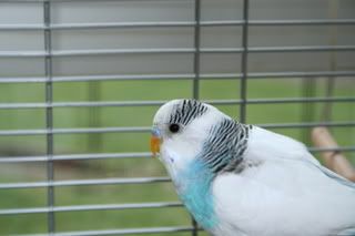 IMG_1721.jpg