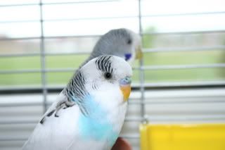 IMG_1724.jpg