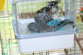 IMG_1749.jpg