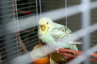 IMG_1770.jpg