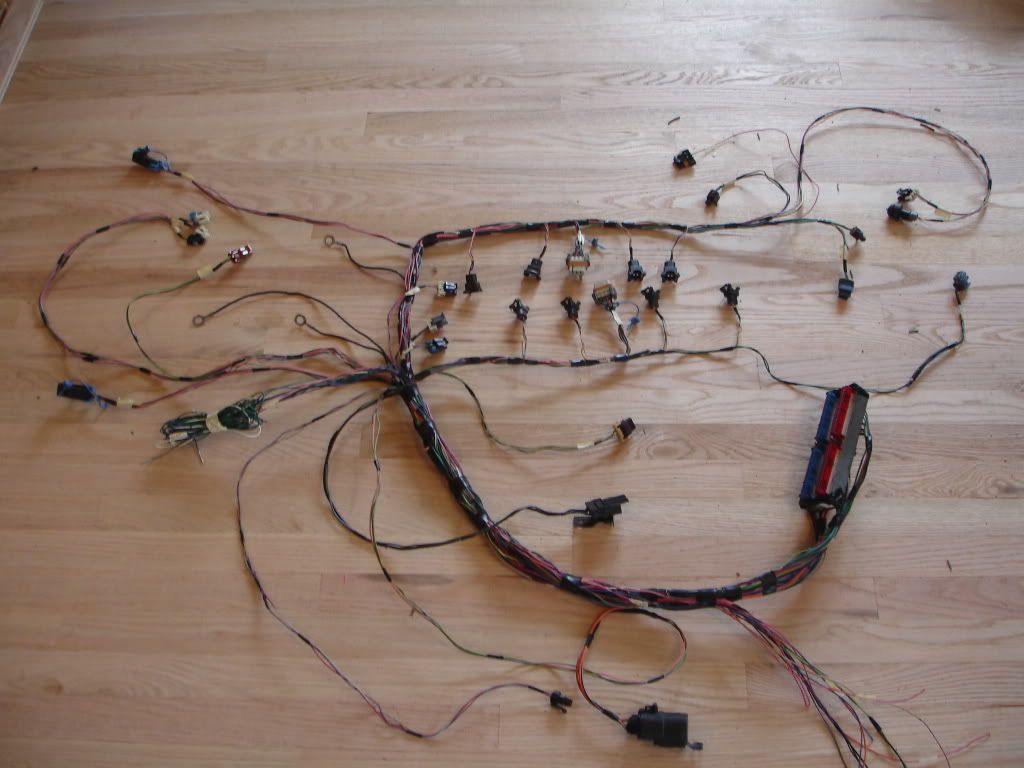 Ls1 Harness - Revisited