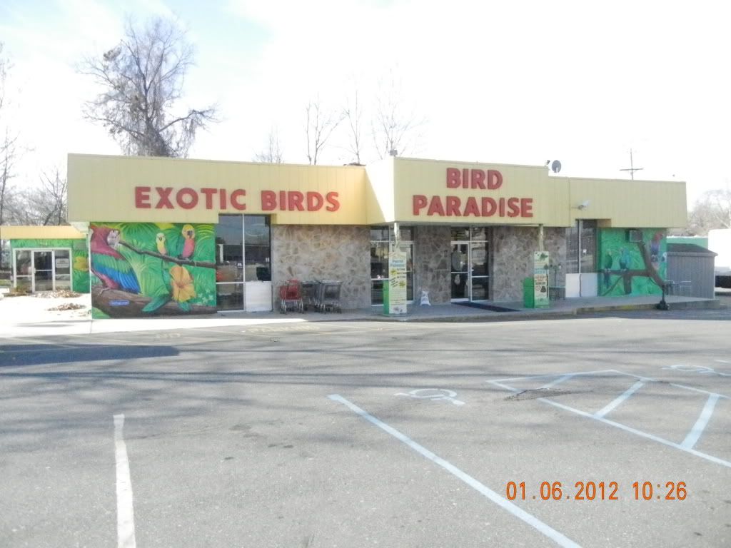 BirdParadise001.jpg