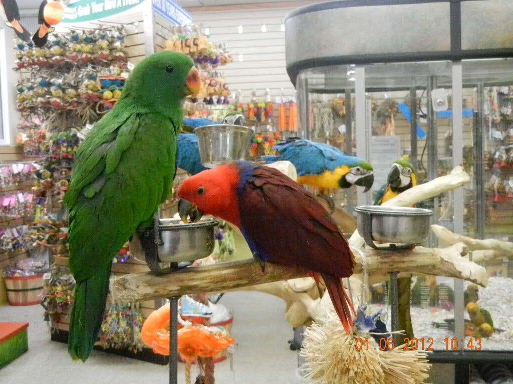 BirdParadise009.jpg