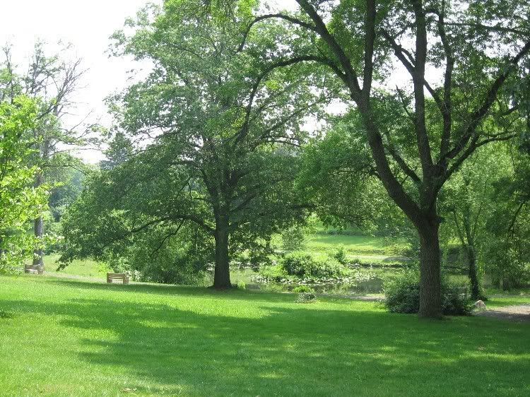 PHOTO TOUR Trenton, New Jersey (Passaic, Hillside apartments, houses