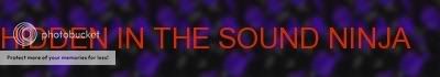  hidden in the sound ninja banner
