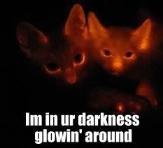 https://i150.photobucket.com/albums/s108/Mystline18/lolcats/fffffadklfs.jpg