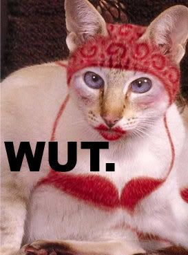 https://i150.photobucket.com/albums/s108/Mystline18/lolcats/n2253758_36779531_6457.jpg