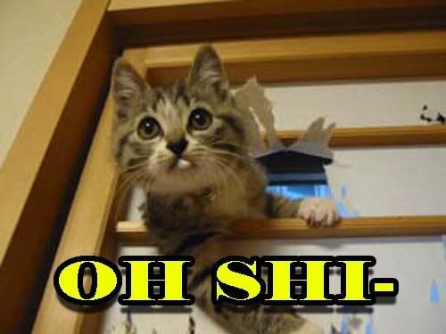 https://i150.photobucket.com/albums/s108/Mystline18/lolcats/ohshi.jpg