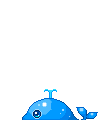 whale