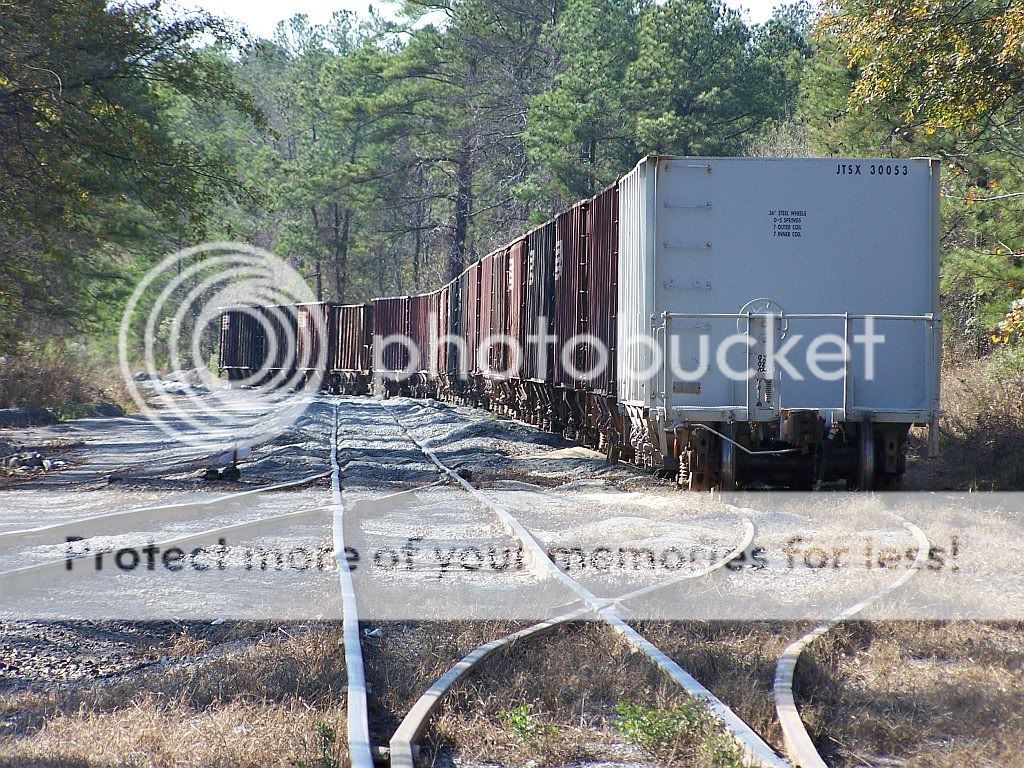 The Woodlands Railroad Company, and more...